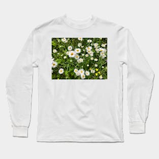 Daisies, just Daisies Long Sleeve T-Shirt